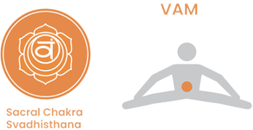 vam Image of VAM Chakra