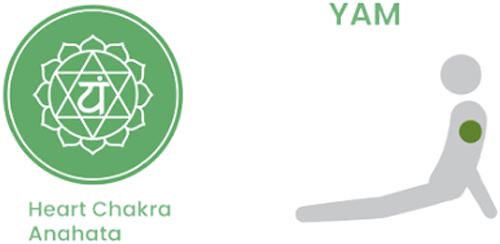 yam Image of YAM Chakra